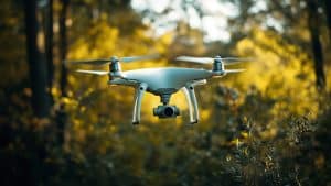 Drone dans une forêt