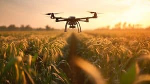 Drone surveillant un champ