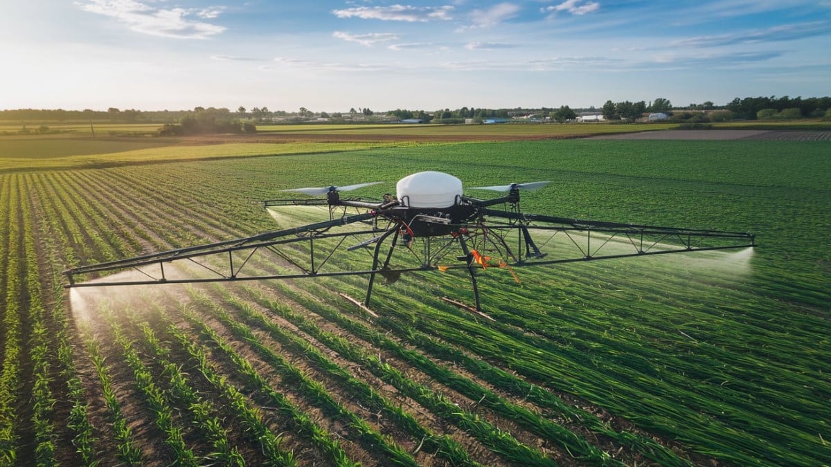 Drone pulvérisant les cultures