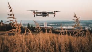 Drone survolant des herbes